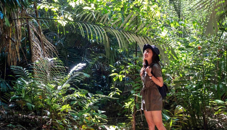 Phuket’s Top 5 Jungle Adventures: Zipline, ATV & More