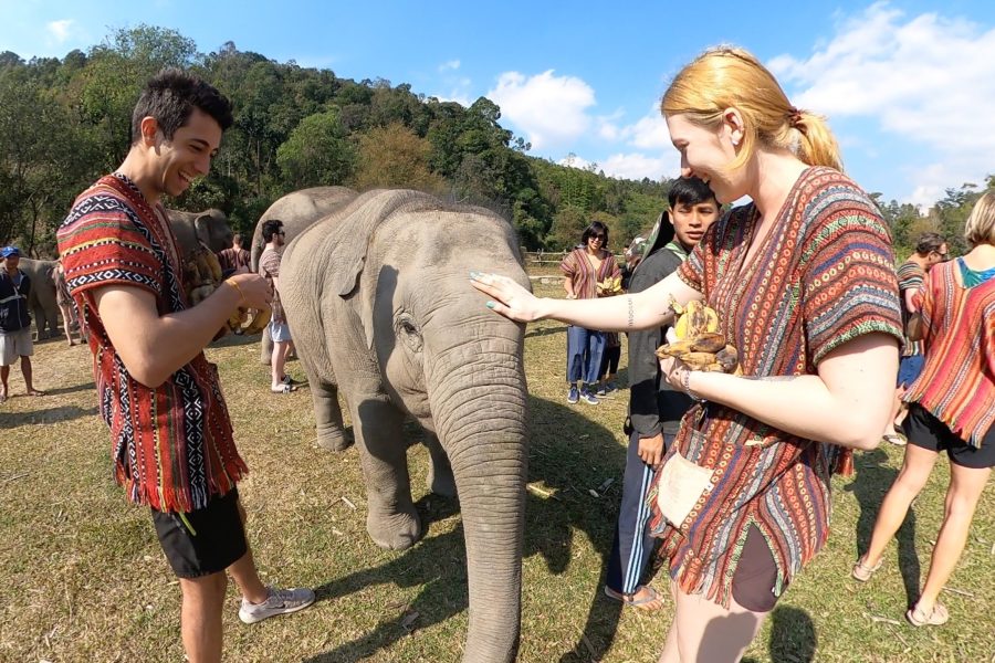 Elephant Jungle Sanctuary